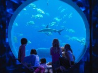 Atlantis_Waterpark_Aquaventure_and_Lost_Chamber_Combo_skylink_travel_oran_algerie1.jpg