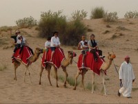 Arabian_Desert_Dunes_Safari_with_Dinner_skylink_Travel_Oran_Algerie.jpg