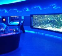 Florya Aquarium - Parc d'attraction 
